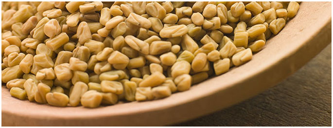 fenugreek