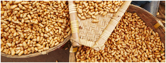 indian-groundnut-extraction-meal