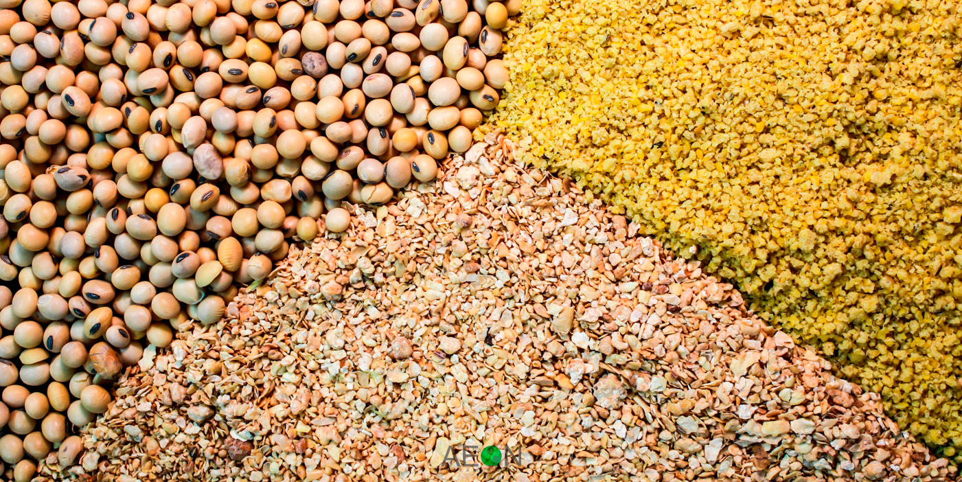 Oil Seeds and Extracts (Animal Feed)